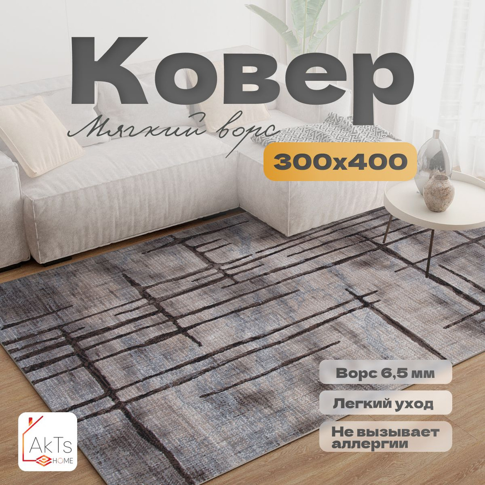 Ковер на пол для комнаты 300x400 см / прямоугольный с ворсом  #1