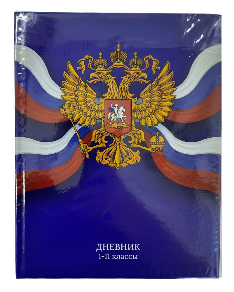 Дневник школьный "Россия" 1-11 класс, 48 листов, твердая обложка, глянцевая ламинация  #1