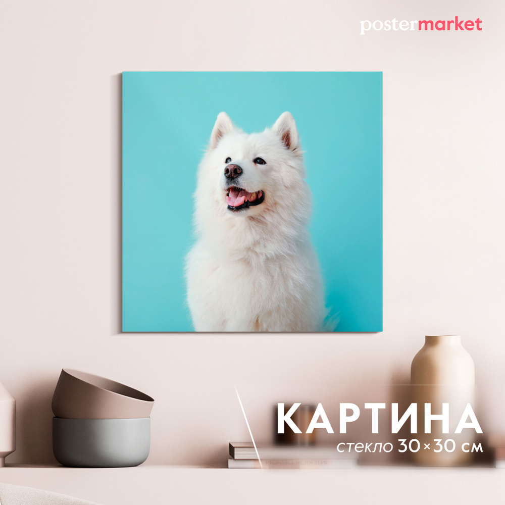 Картина на стекле Postermarket "Самоед", 30х30 см #1