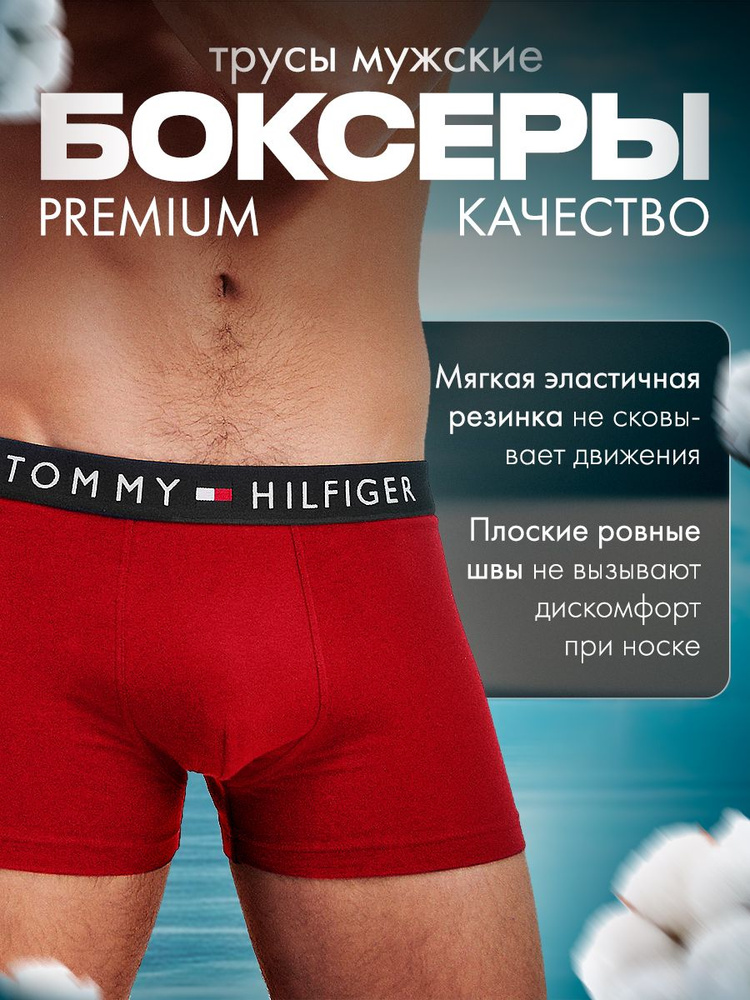 Трусы Tommy Hilfiger, 1 шт #1