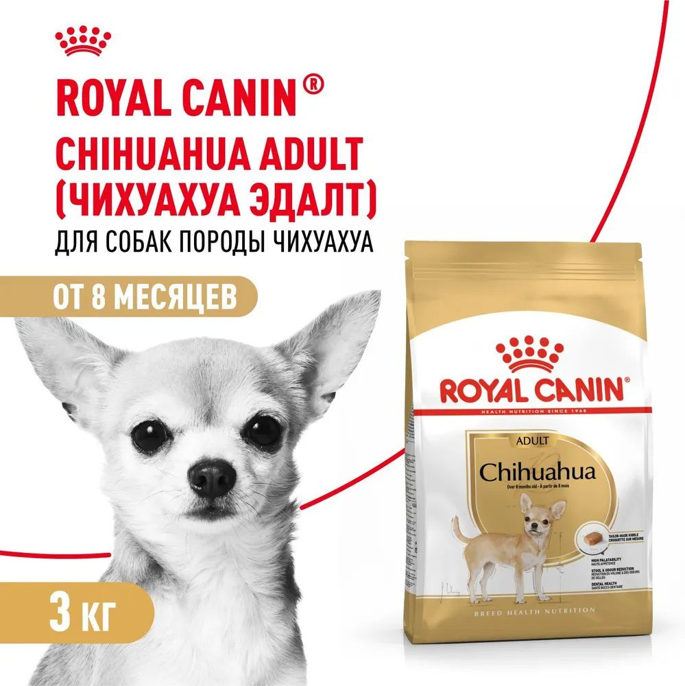 Корм сухой Royal Canin для взрослых собак породы Чихуахуа, 3 кг  #1