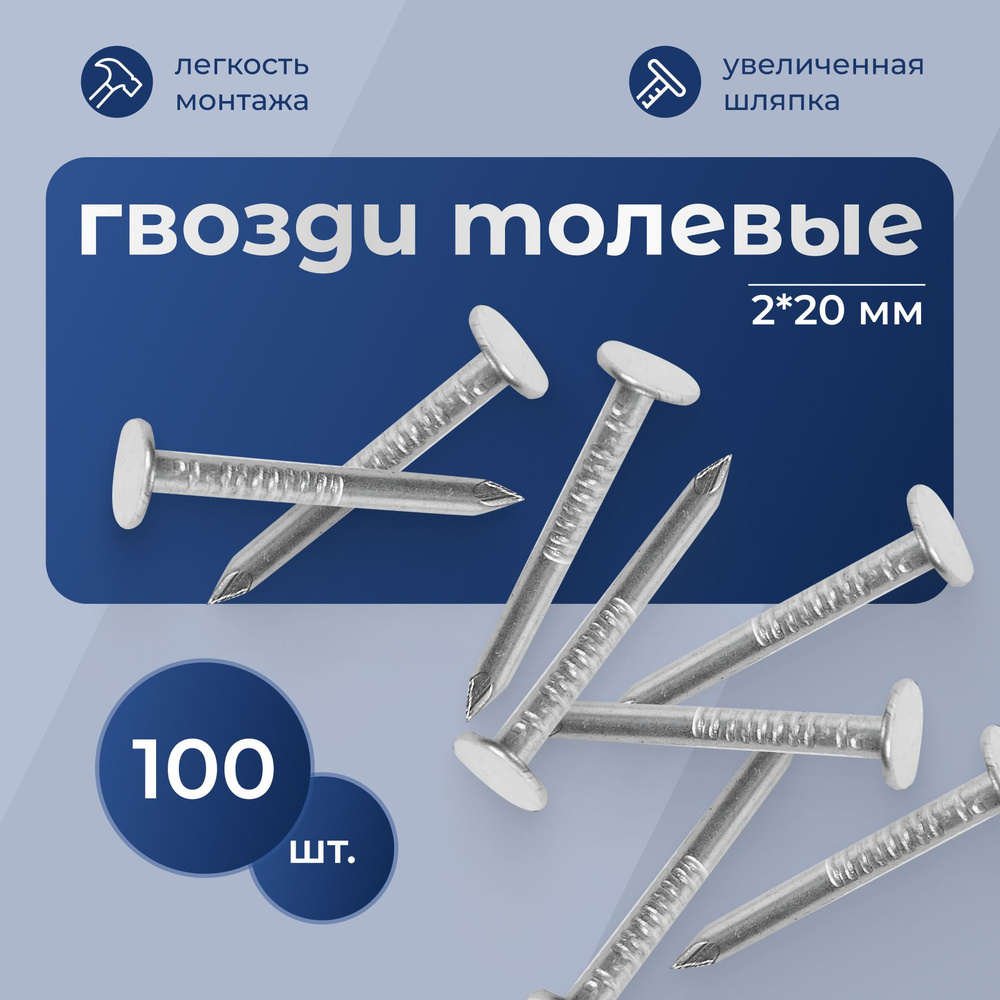 Гвоздь (100шт) MOURJE Толевый Оцинкованный 2х20мм #1