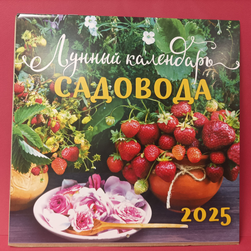 Арт и Дизайн Календарь 2025 г., Настенный перекидной #1