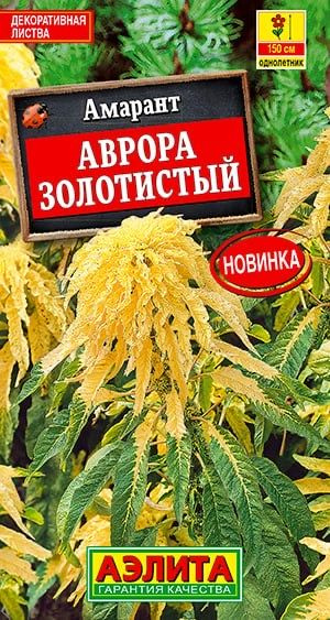 АМАРАНТ АВРОРА ЗОЛОТИСТЫЙ. Семена. Вес 0,1 гр. Впечатляющий мощный однолетник с необычной расцветкой #1