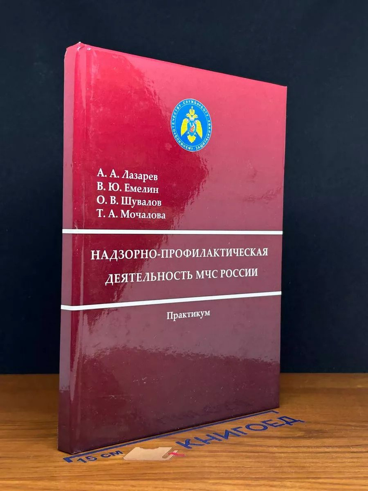 Надзорно-профилактическая деятельность МЧС России #1