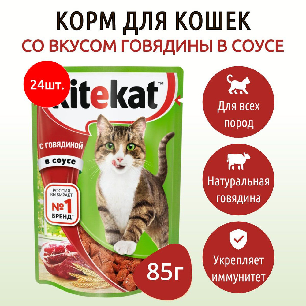 Влажный корм Kitekat 2040 г (24 упаковки по 85 грамм) для кошек Говядина в соусе, в паучах  #1