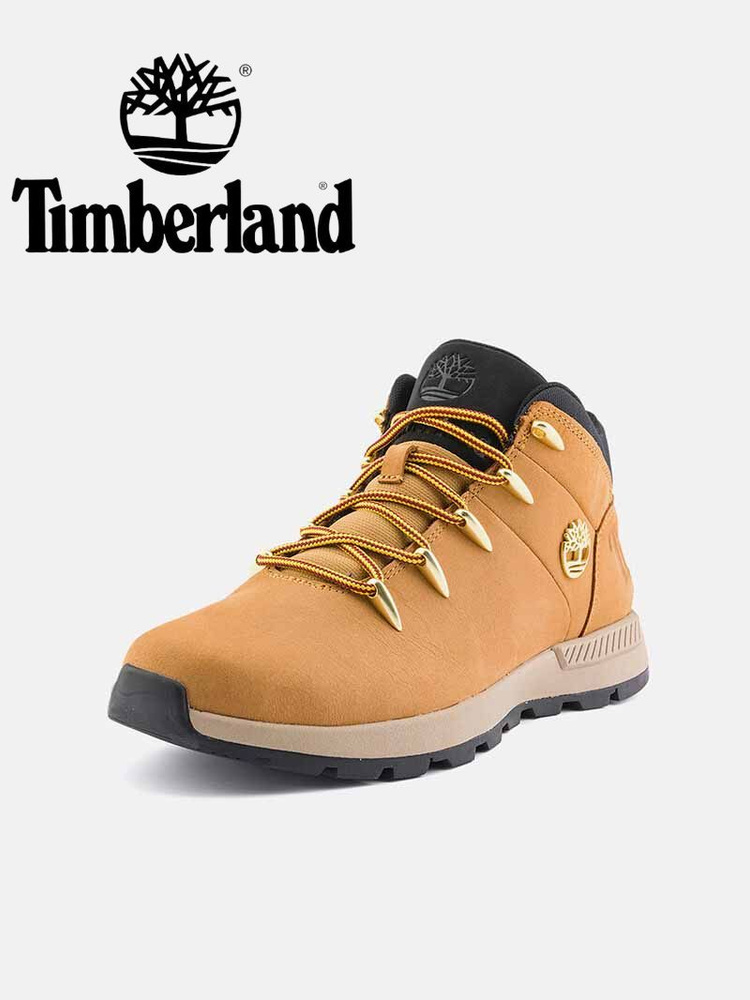 Ботинки для треккинга Timberland Timberland 6 Inch Premium Boot Waterproof #1