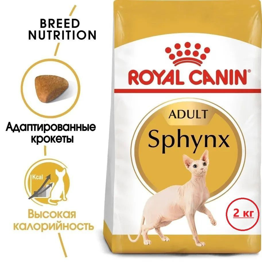 Сухой корм Royal Canin Sphynx Adult для взрослых кошек породы Сфинкс, 2 кг  #1