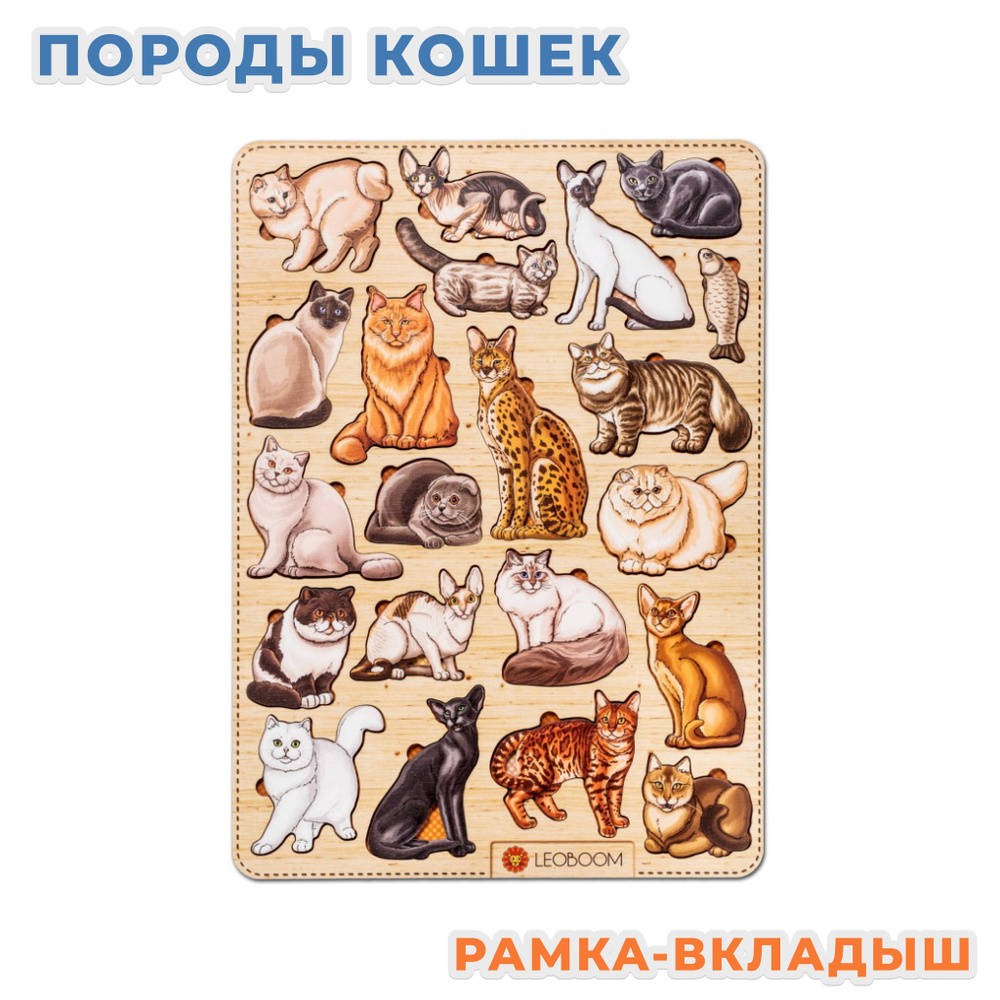 Деревянная рамка-вкладыш Smile Decor "Породы кошек", 28 *39 см, Smile Decor  #1