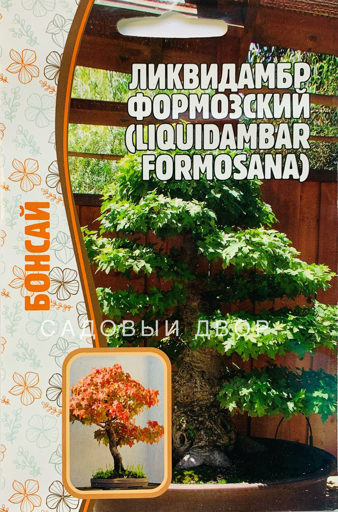 Ликвидамбр Формозский (Liquidambar formosana), 1 пакет, семена 10 шт, ЧК, бонсай  #1