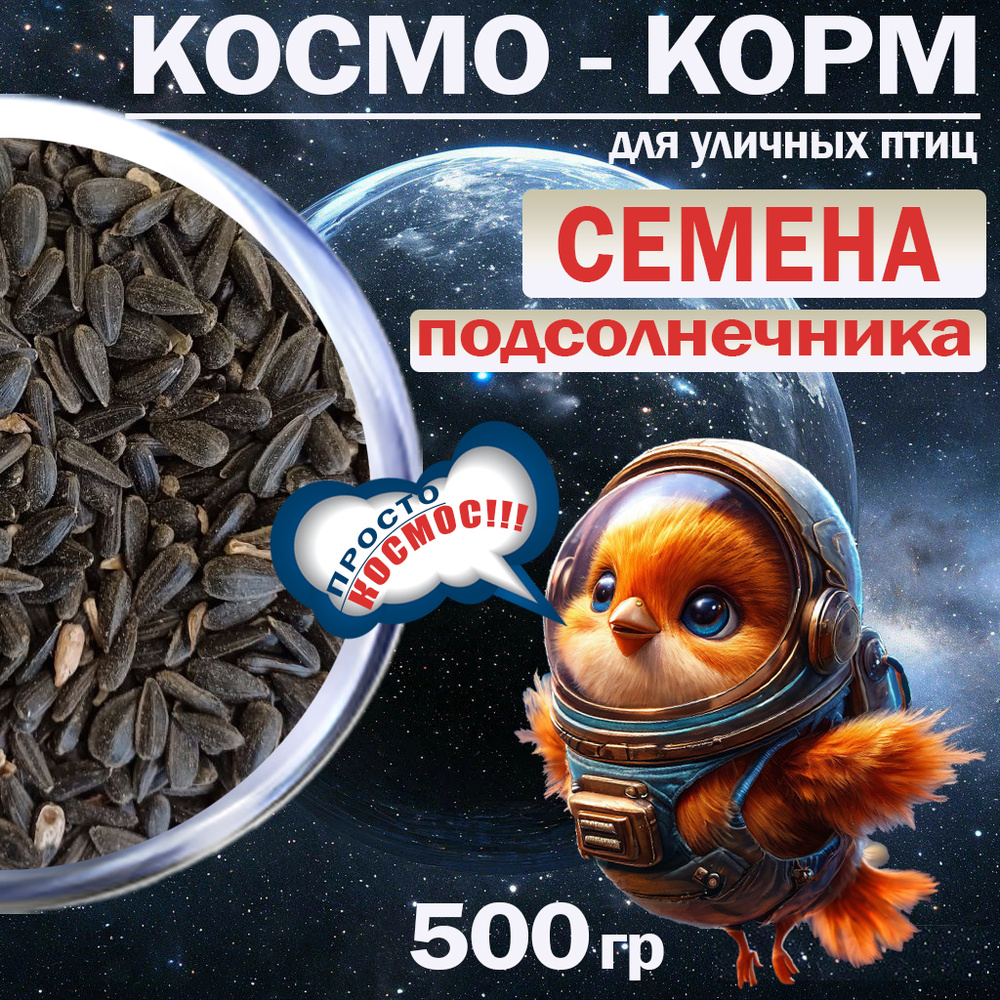 Корм для лесных, уличных и домашних птиц/ 500 гр #1