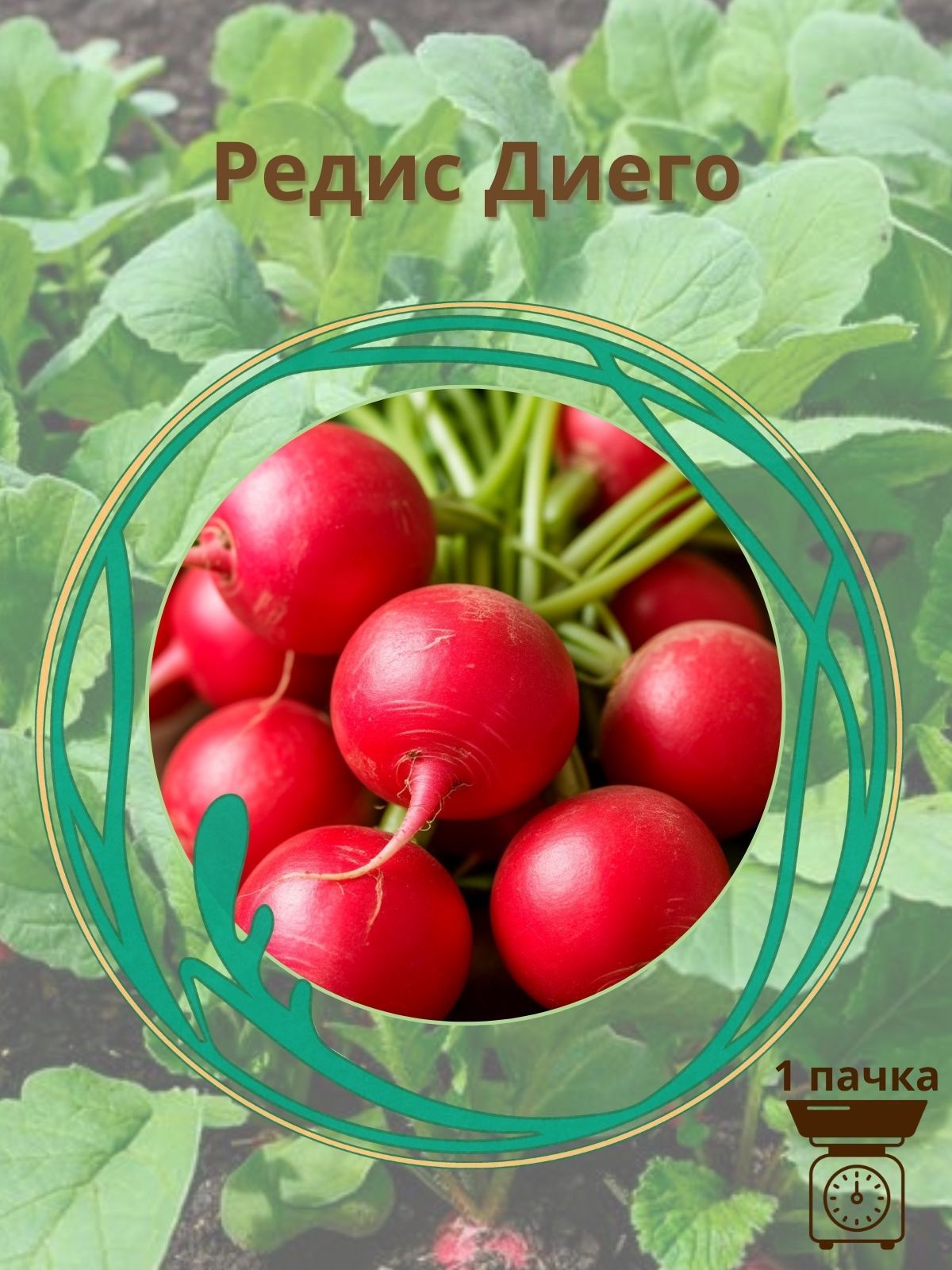 Редис"Диего"10шт.семян