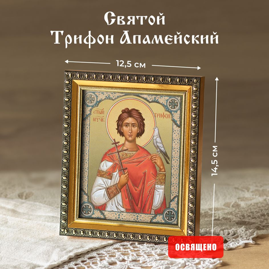 Икона освященная "Святой Трифон Апамейский" в раме 12х14 Духовный Наставник  #1