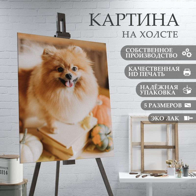 ArtPrintPro Картина "Милая собака Шпиц (19)", 40  х 30 см #1