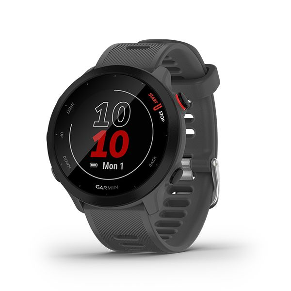 Garmin Умные часы Garmin Forerunner 55 grey, grey #1