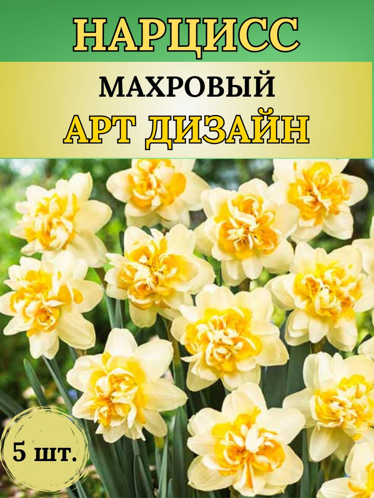 Magic Blooming Garden Луковицы,0.15кг #1