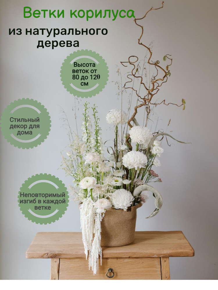 Сухоцветы для декора, корилус (орешник), набор декоративных веток для дома интерьера 5 шт, от 80 см  #1