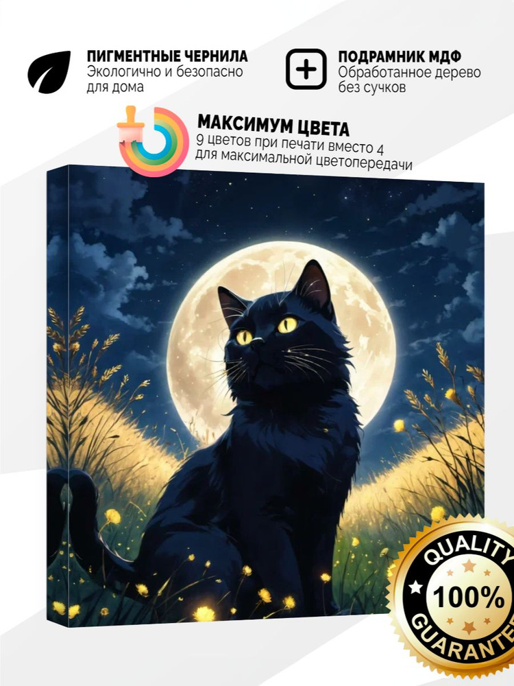 Картина на холсте 60x60 Черный кот #1