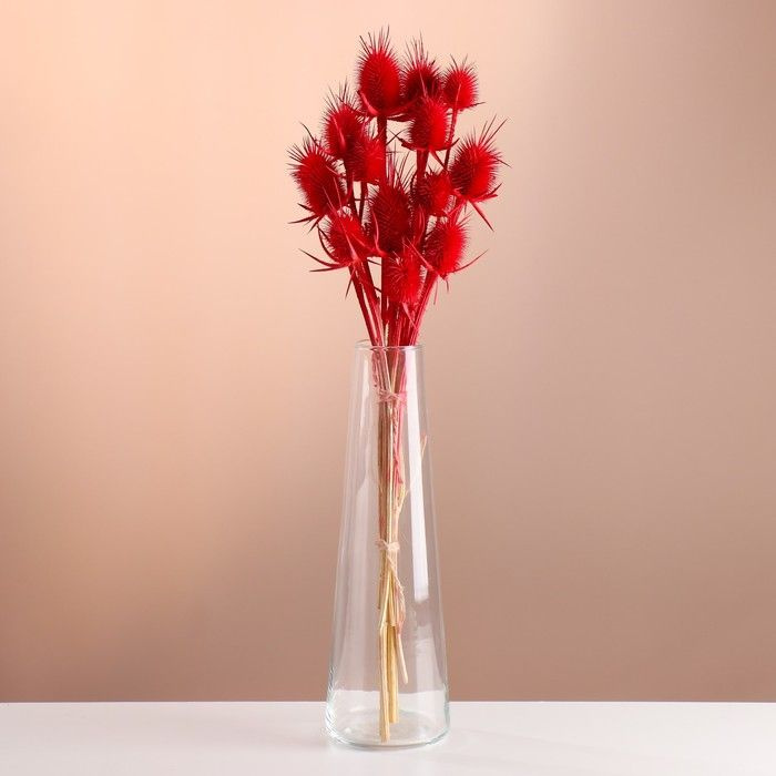Набор сухоцветов "Ворсянка", банч 7 - 8 шт, длина 50 (+ - 6 см), красный  #1