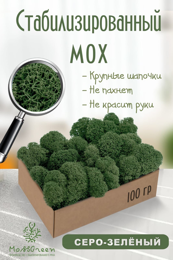 Moss Green Стабилизированный мох, 1 шт #1