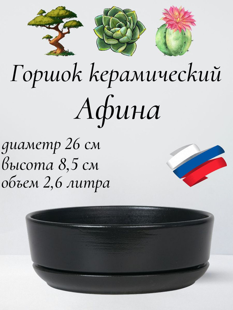 Керамический горшок "Бонсай - Афина" для бонсай, кактусов и суккулентов, диаметр 26, высота 8,5 см, черный #1