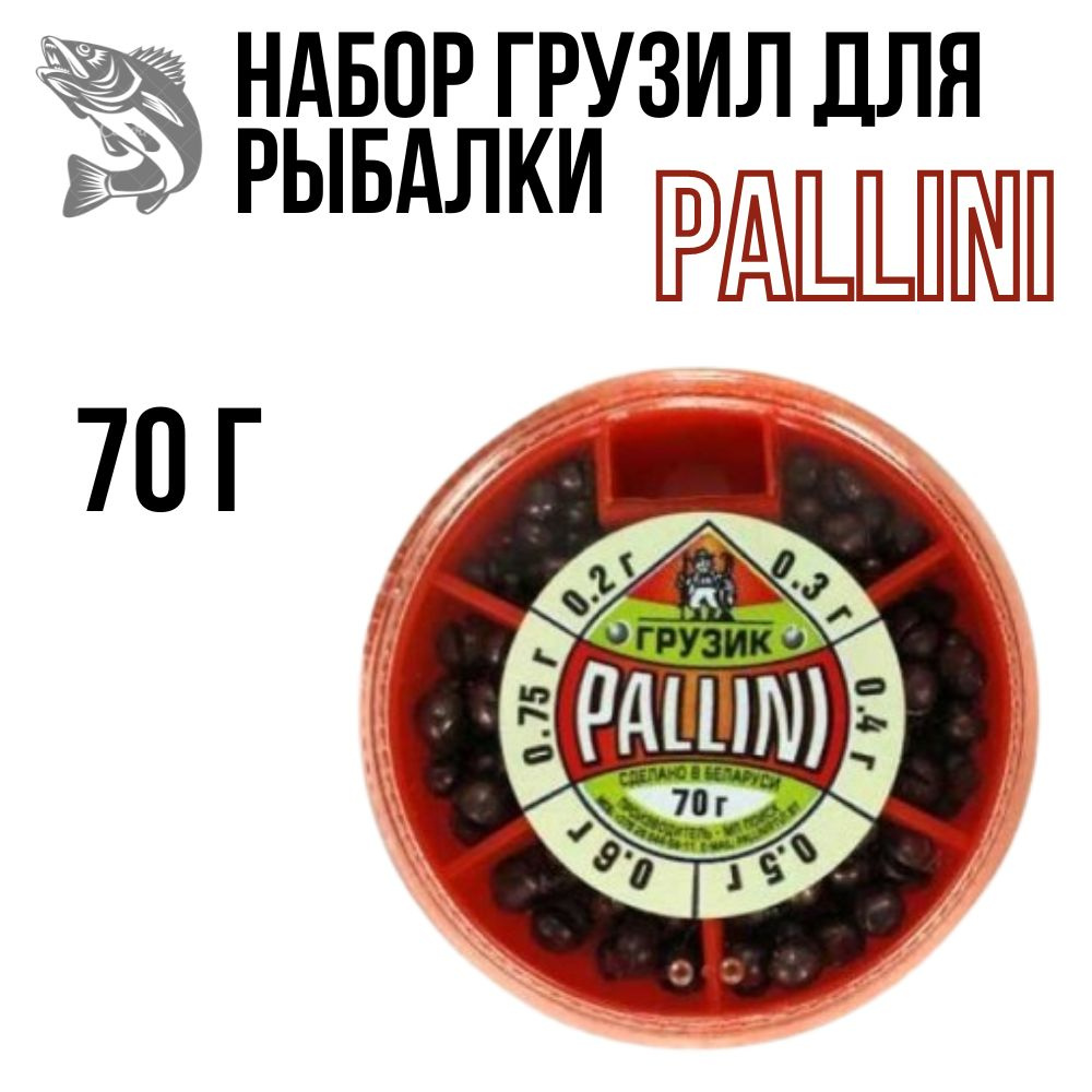 Набор грузов PALLINI 70гр #1