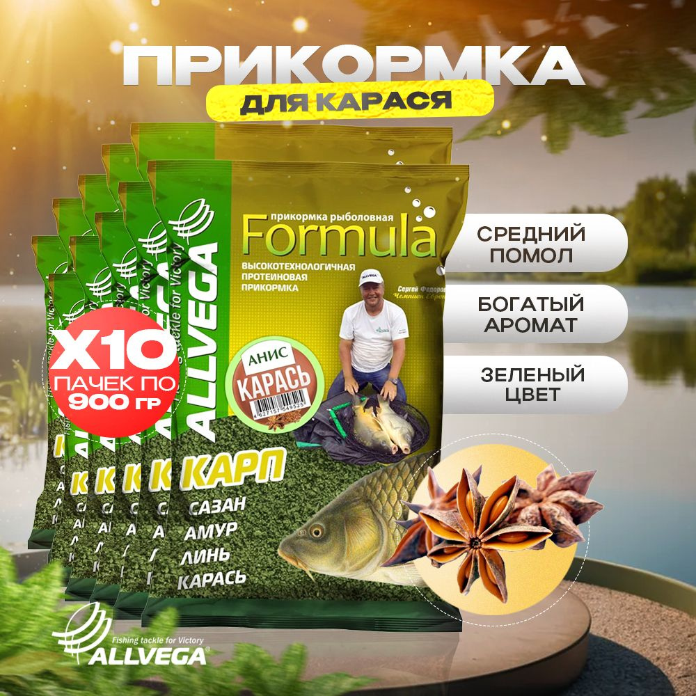 Прикормка для рыбалки на карася ALLVEGA Formula АНИС 10 пачек #1