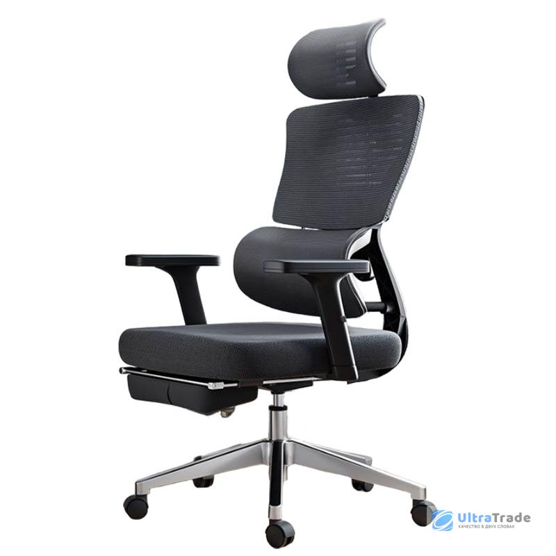 Офисное кресло с подставкой для ног Xiaomi HBADA Ergonomic Computer Chair E2 High Version Black (E201) #1
