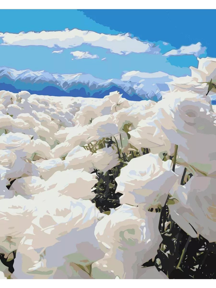 Картина по номерам Белые розы Размер 40х50, на холсте на деревянном подрамнике, Акриловые краски  #1