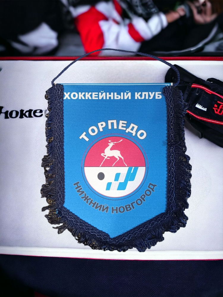 Вымпел Торпедо Нижний Новгород 20*15 #1