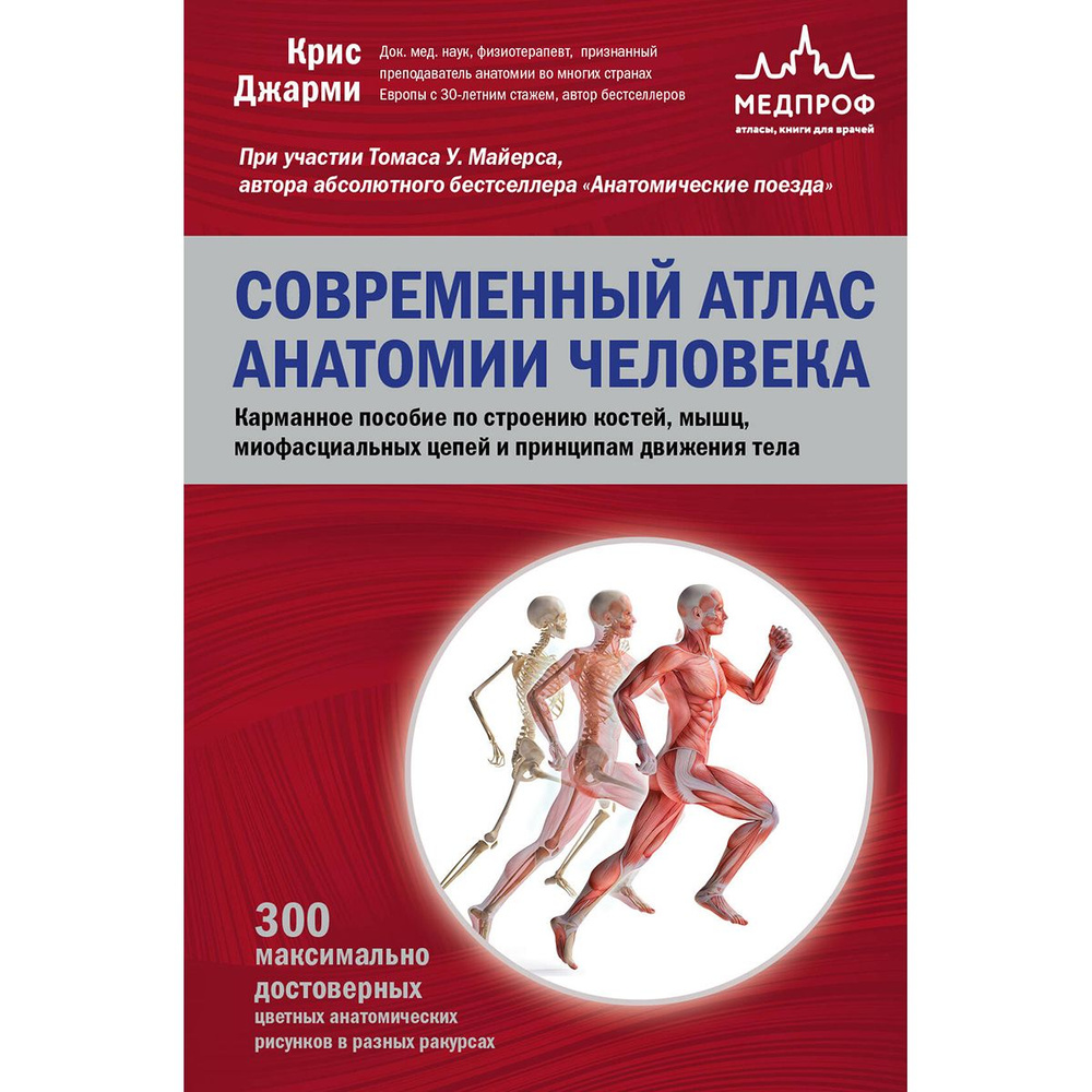 Современный атлас анатомии человека. Карманное пособие по строению костей, мышц, миофасциальных цепей #1