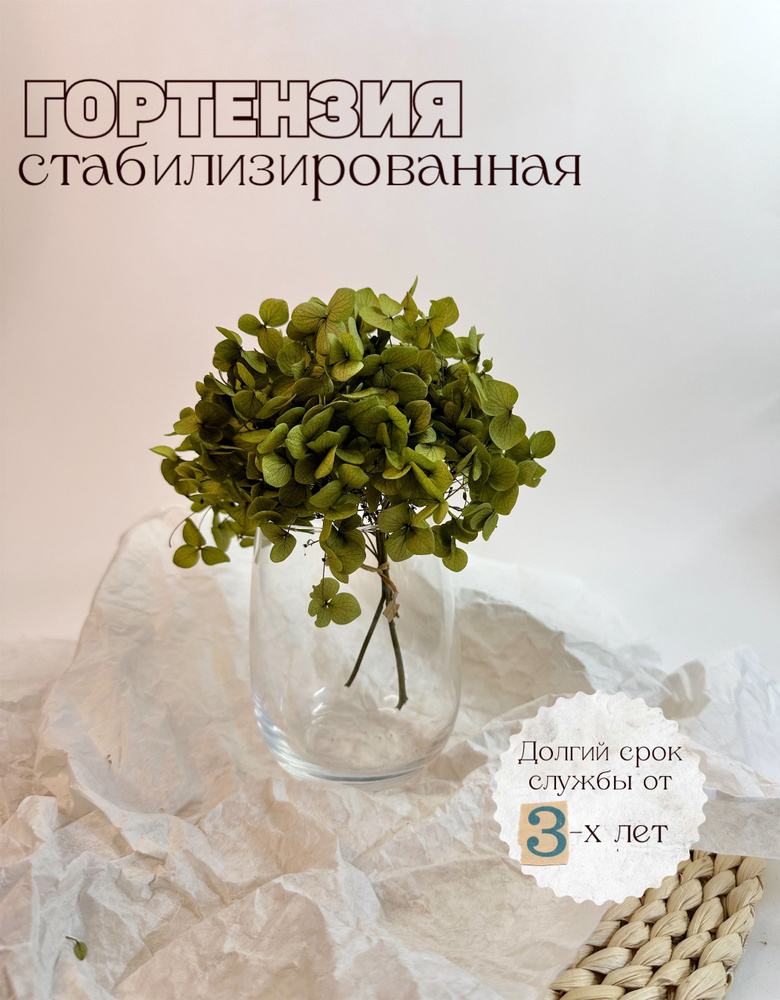 Стабилизированные цветы Гортензия, 10 см, 5 гр, 1 шт #1