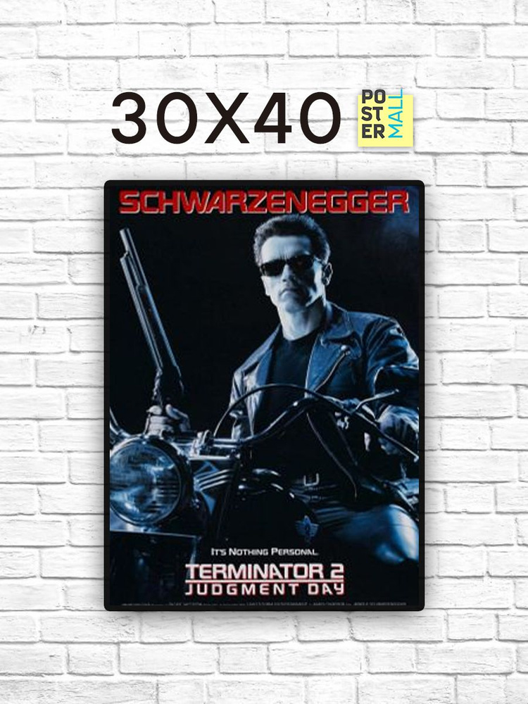 Постер для интерьера на стену (30х40 см). Кино Терминатор 2 (Terminator 2) Арнольд Шварценегер  #1