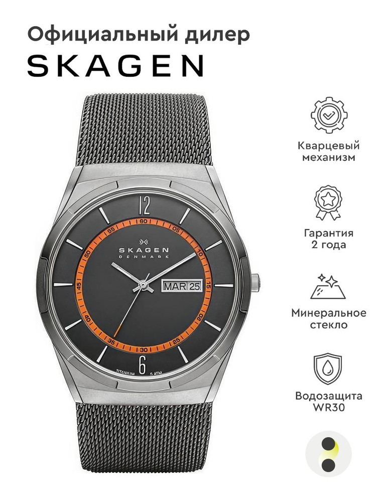 Мужские наручные часы Skagen Titanium SKW6007 #1