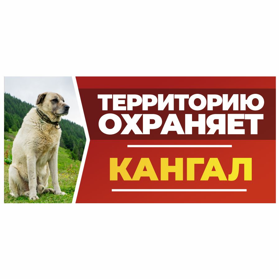 Табличка, DANGER DOG, Кангал, на забор, 30см х 14см #1