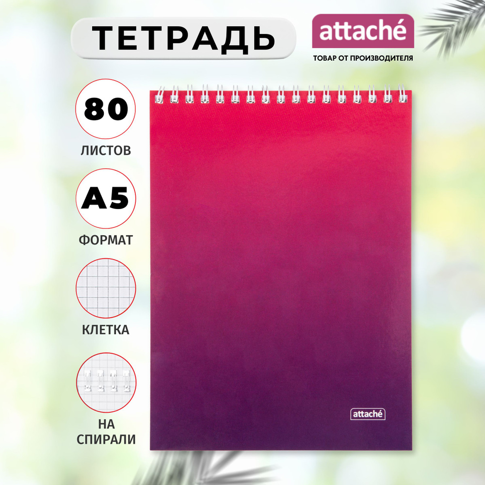 Тетрадь Attache, А5, 80 листов, в клетку, на спирали #1