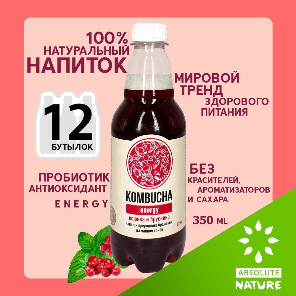 Комбуча чайный гриб Absolute Nature "KOMBUCHA-ENERGY" без сахара с клюквой, мятой и брусникой 350 мл. #1