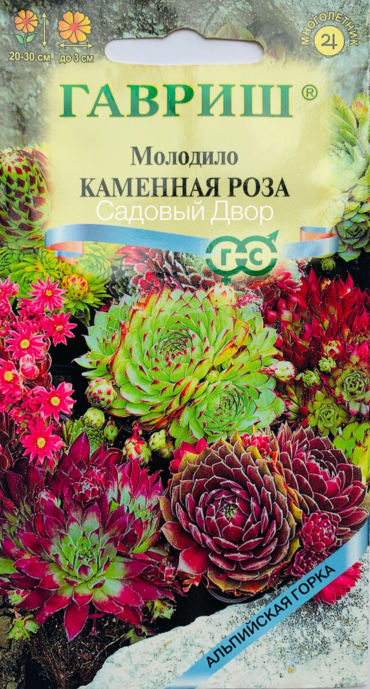 Молодило КАМЕННАЯ РОЗА, 1 пакет, семена 0,01г, ГАВРИШ, многолетник, альпийская горка  #1