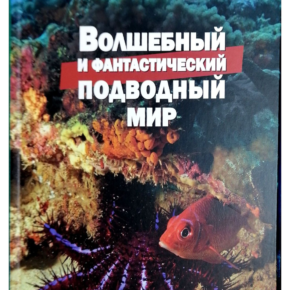 Волшебный и фантастический подводный мир | Климов Василий  #1