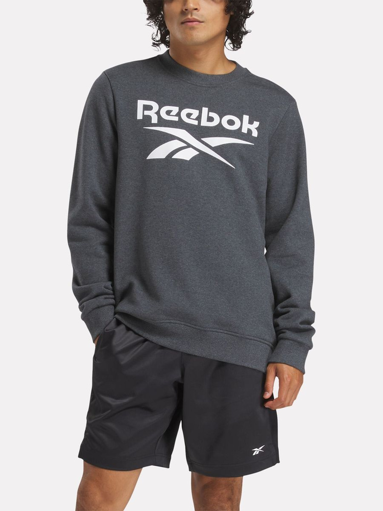 Свитшот Reebok IDENTITY BIG LOGO FLEECE CREW #1