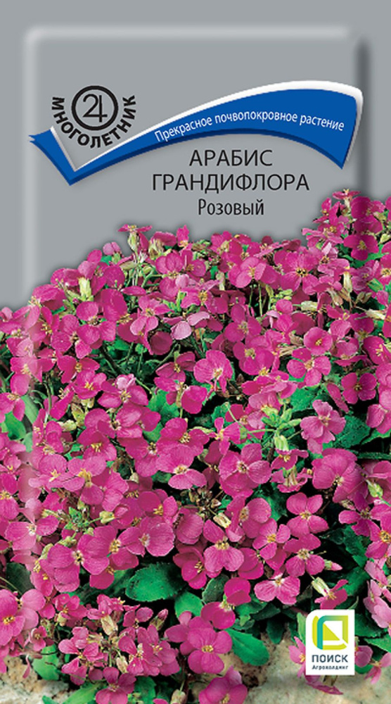 Семена цветов ПОИСК Агрохолдинг Арабис грандифлора Розовый многолетник, 0.1г / сад и огород  #1