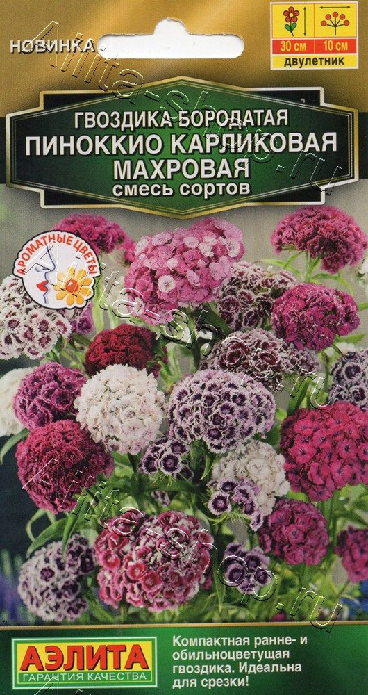 Гвоздика махровая Пиноккио карликовая (3 упаковки), смесь окрасок  #1