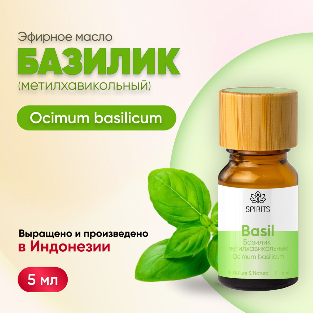 Эфирное масло Базилик метилхавикольный (Ocimum basilicum), 5 мл #1