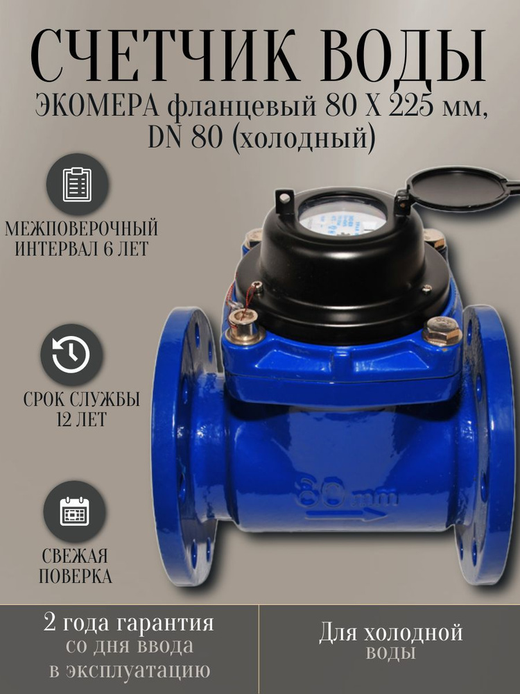 Счетчик воды ЭКОМЕРА фланц. 80 Х 225 мм, DN 80 (холодный) #1