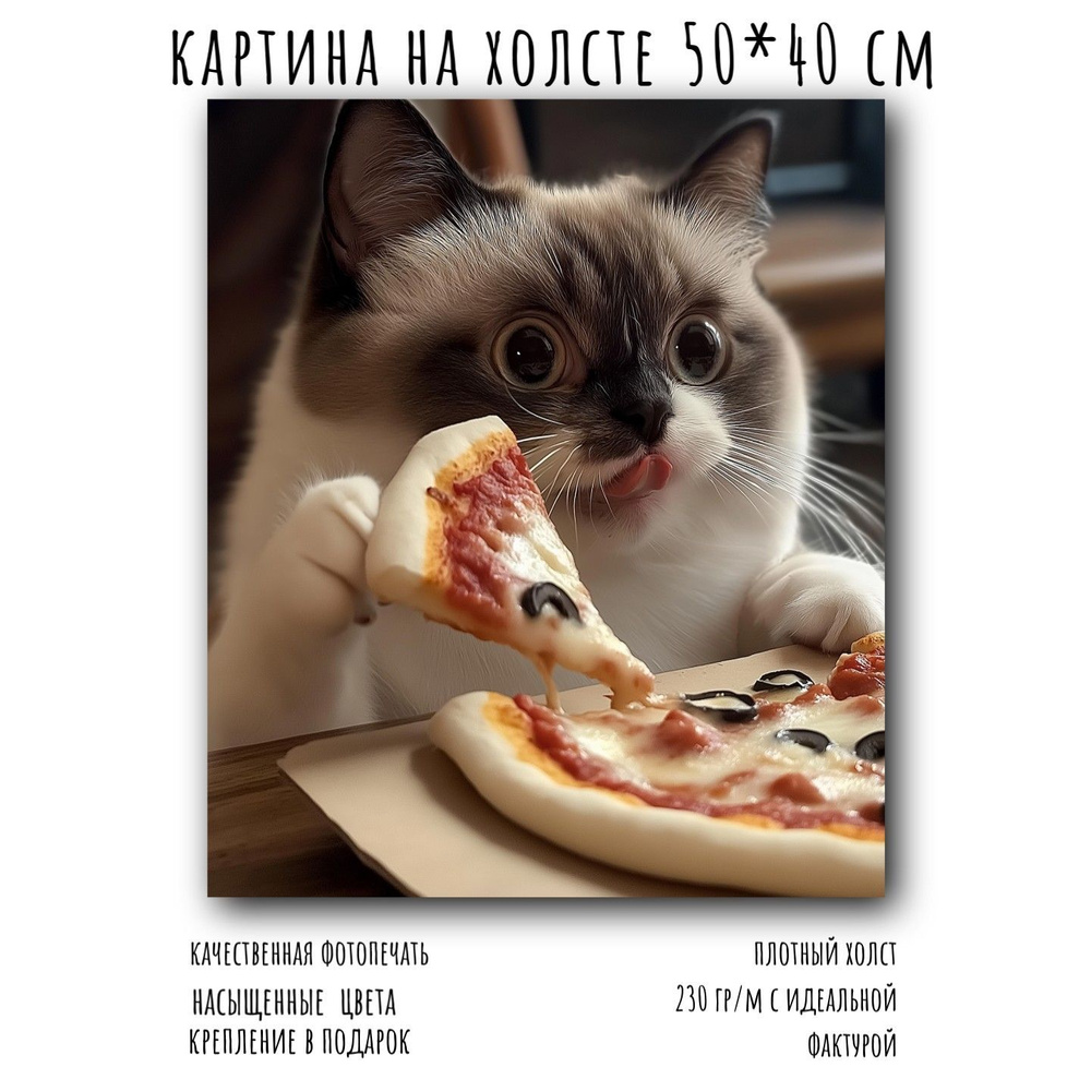 Картины на холсте на стену для кофейни, дома смешной котик 50*40 см  #1