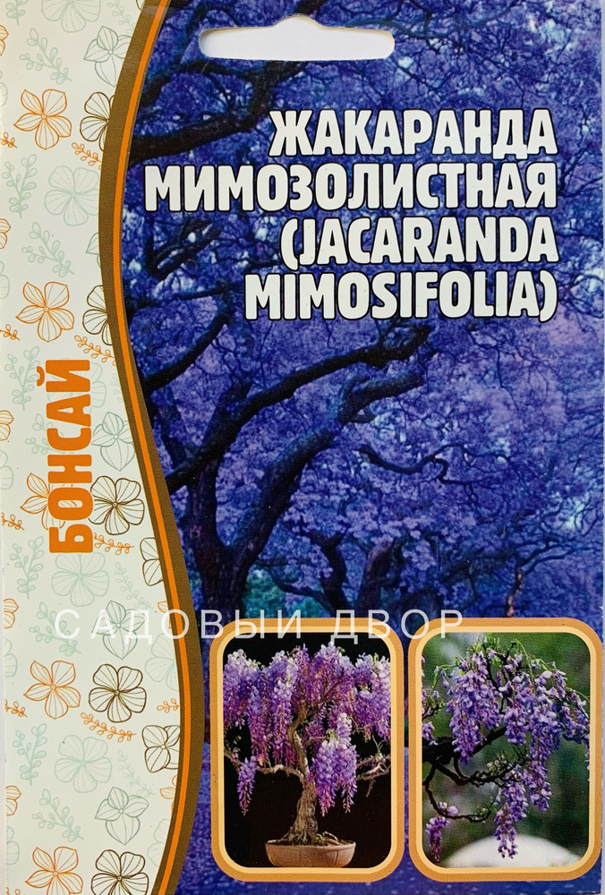 Жакаранда Мимозолистная, 1 пакет, семена 5ш, бонсай, ЧК #1