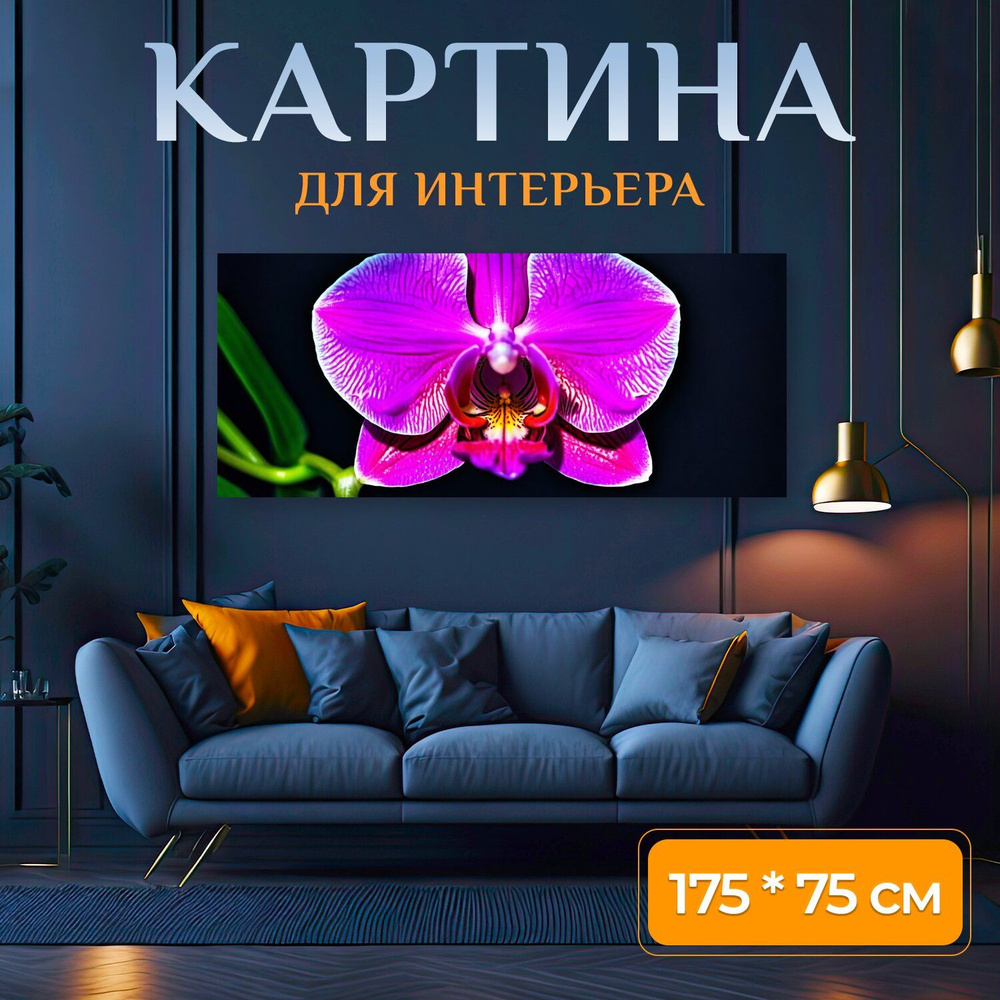 LotsPrints Картина " "Орхидея с яркими градиентными цветами кажется неоновым" 576", 175 х 75 см  #1