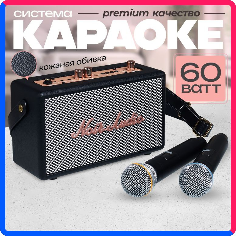 Купить по выгодной цене Караоке система NOIR-audio CLASSIC с двумя беспроводными микрофонами, с функцией Bluetooth и USB разъемом с доставкой