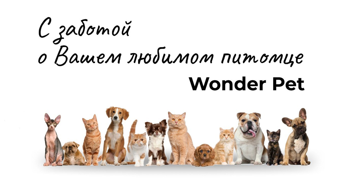 Поводок для собак с амортизацией и усиленным карабином Wonder Pet подойдет для средних и крупных пород собак!  Поводок для собак изготовлен из толстого, износостойкого нейлона, прошит в несколько слоев прочными нитями, оснащен светоотражающими нитями, которые помогут сделать более заметным вашего питомца в темное время суток.  Карабин поводка изготовлен из высокопрочной стали, допустимая нагрузка составляет более 300 кг. Для предотвращения непреднамеренного раскрытия карабин оснащен фиксатором. Способность карабина и всего ремня безопасности выдержать большой вес - очень важная составляющая для обеспечения безопасности вашего питомца.  Амортизирующая вставка при растяжении удлиняет поводок со 125 до 190 см., обеспечивая плавную нагрузку на шею собаки. Поводок имеет дополнительную прорезиненную ручку, расположенную ближе к карабину, что поможет Вам контролировать собаку, когда вы переходите дорогу или когда хотите держать питомца ближе к себе. Поводок так же оснащен для использовании в автомобиле, благодаря чему можно ограничить зону перемещения собаки по салону автомобиля.  Усиленный поводок для собак Wonder Pet подходит для питомцев весом до 90 кг.