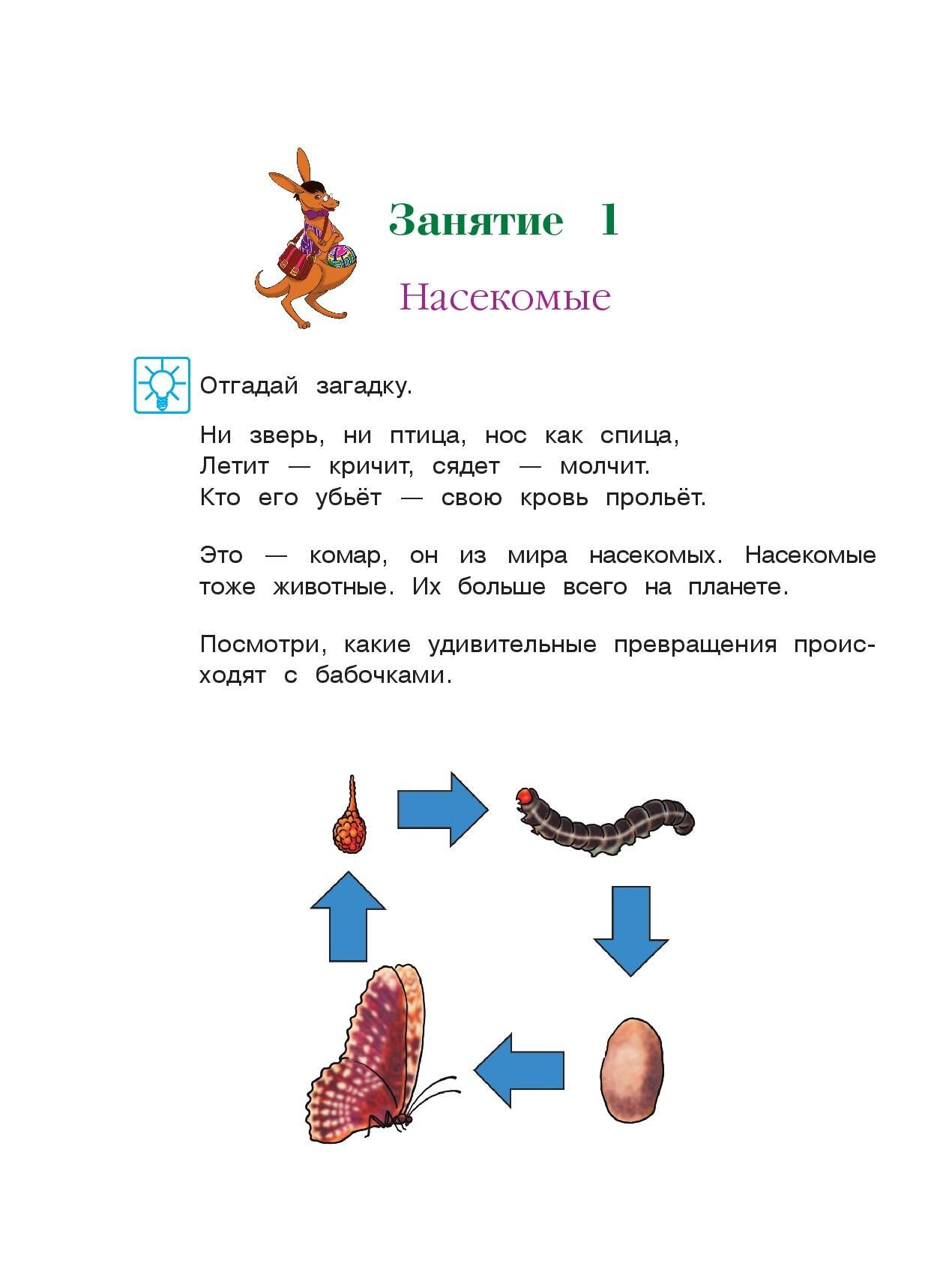«Изучаю мир вокруг: для детей 5-6 лет. Ч. 2» — фото 8